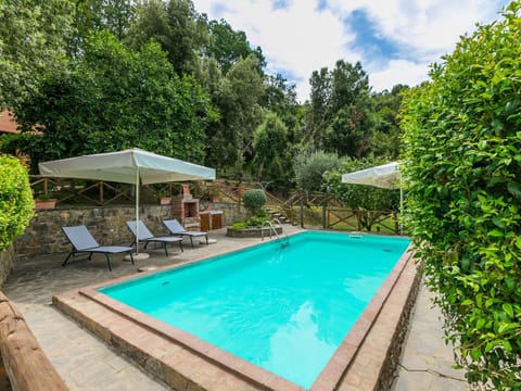 Water, Plant, Property, Swimming Pool, Sky, Cloud, Tree, Shade, Chair, Body Of Water
