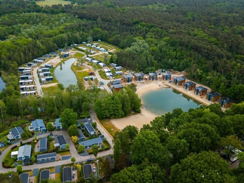 Water Resources, Water, Plant, Natural Landscape, Tree, Vegetation, Urban Design, Watercourse, Biome, Leisure