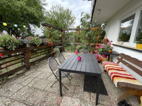 Flower, Plant, Property, Building, Table, Outdoor Table, Tree, Window, Outdoor Furniture, Chair