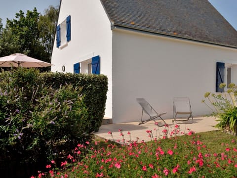 Flower, Plant, Property, Building, Window, Sky, Grass, Land Lot, Petal, Shade