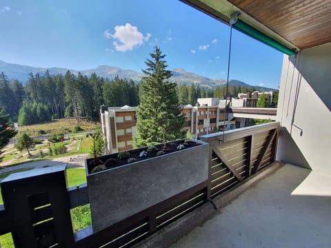 Snow, Building, Window, Freezing, House, Slope, Real Estate, Wood, Geological Phenomenon, Tree