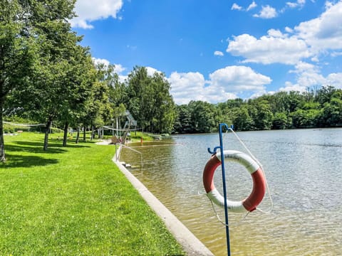 Water, Plant, Sky, Boat, Cloud, Tree, Natural Landscape, Lake, Watercraft, Grass