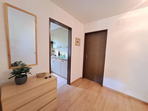 Plant, Property, Flowerpot, Houseplant, Wood, Vase, Door, Hall, Flooring