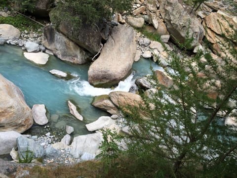 Water, Plant, Building, Sky, Property, Azure, Nature, Tree, Swimming Pool, Blue
