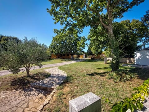 Water, Plant, Building, Property, Sky, Swimming Pool, Azure, Tree, House, Window