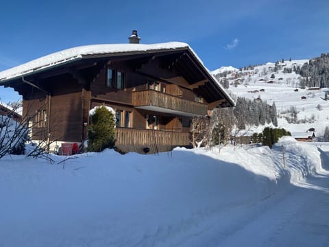 Snow, Building, Window, Freezing, House, Slope, Real Estate, Wood, Geological Phenomenon, Tree