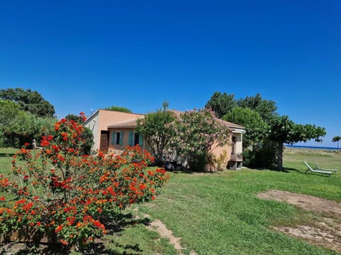 Sky, Flower, Plant, Property, Plant Community, Window, Building, Tree, Natural Landscape, House