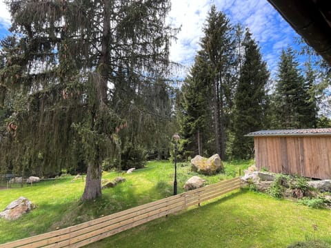 Plant, Property, Sky, Cloud, Botany, Tree, Natural Landscape, Larch, Land Lot, Vegetation