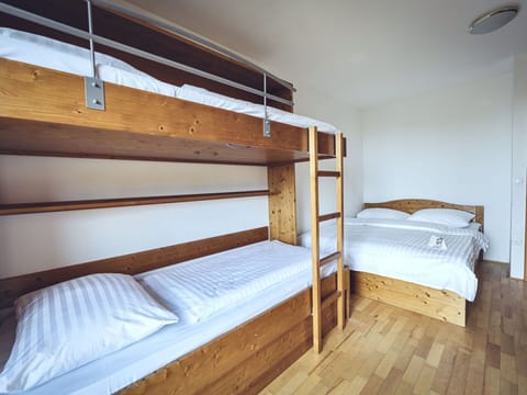 Furniture, Building, Property, Comfort, Bunk Bed, Wood, Bed Frame, Bed, House
