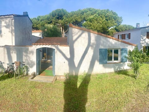 Plant, Sky, Property, Window, Building, Land Lot, Vegetation, Tree, Rural Area