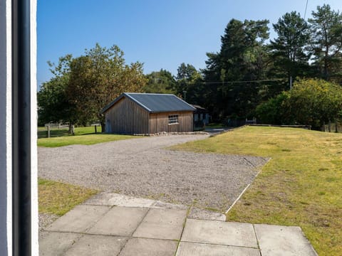 Plant, Sky, Tree, Window, Land Lot, Road Surface, Shade, Building, Asphalt, Roof