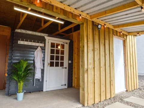 Plant, Flowerpot, Wood, Building, Houseplant, Interior Design, Shade, Beam, Door