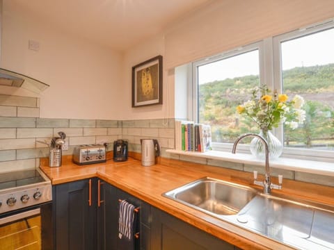 Kitchen Sink, Tap, Sink, Property, Countertop, Cabinetry, Plant, Plumbing Fixture, Window, Wood