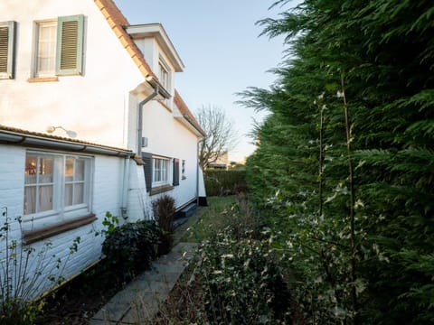 Plant, Window, Building, Sky, House, Tree, Grass, Residential Area, Cottage, Road Surface