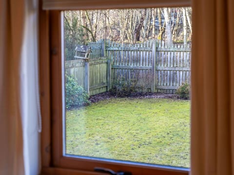 Plant, Wood, Interior Design, Shade, Rectangle, Grass, Wall, House, Real Estate