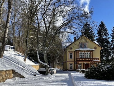 Building, Sky, Snow, Plant, Window, Tree, Branch, House, Cloud, Neighbourhood
