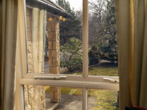 Building, Plant, Window, Wood, Shade, Architecture, Door, Tree, House
