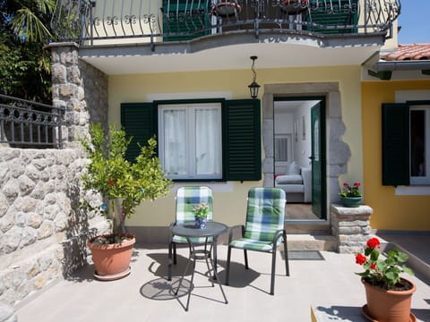 Plant, Flowerpot, Building, Window, Houseplant, Table, Azure, Shade, Chair, Neighbourhood