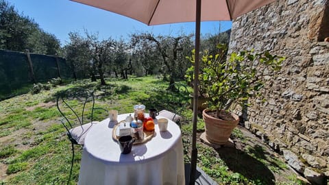 Plant, Property, Flowerpot, Table, Umbrella, Shade, Chair, Outdoor Furniture, Tableware, Building