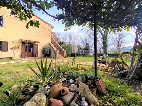 Table, Property, Furniture, Plant, Tableware, Tree, Shade, Chair, Building, Outdoor Furniture