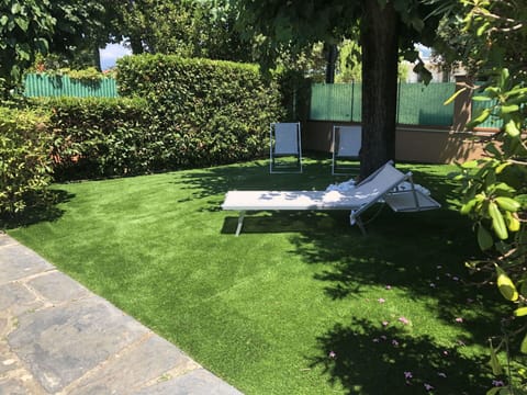 Plant, Property, Plant Community, Tree, Outdoor Furniture, Shade, Land Lot, Grass, Public Space, Shrub