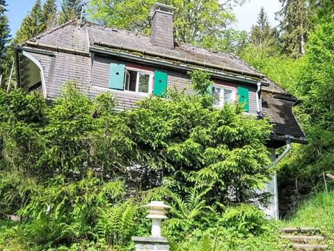 Building, Property, Window, Plant, Nature, Tree, Botany, House, Natural Landscape, Vegetation