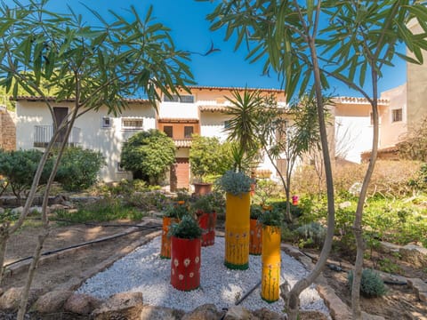 Plant, Sky, Property, Building, Flowerpot, Window, Azure, Houseplant, Architecture, Vegetation
