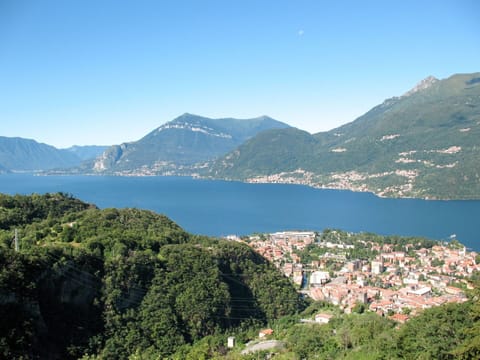Water, Plant, Furniture, Swimming Pool, Property, Sky, Azure, Blue, Nature, Tree