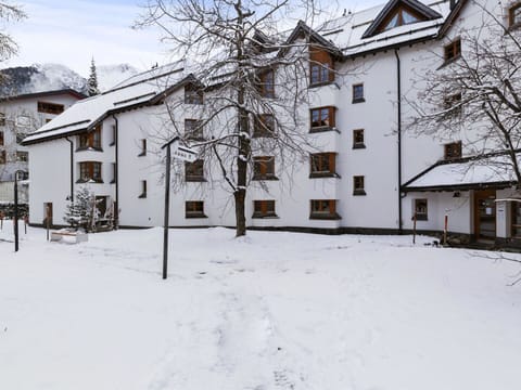 Building, Window, Property, Snow, Plant, House, Branch, Tree, Twig