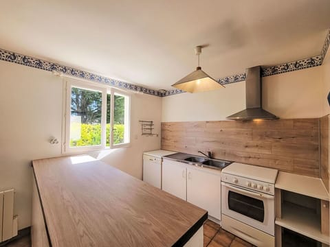 Kitchen, Countertop, Flooring, Wood, Interior Design, Furniture, Floor, Ceiling, Cabinetry, Room