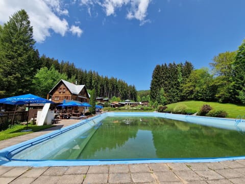 Swimming Pool, Resort, Leisure, Eco Hotel, Resort Town, Larch, Evergreen, Vacation, Hotel
