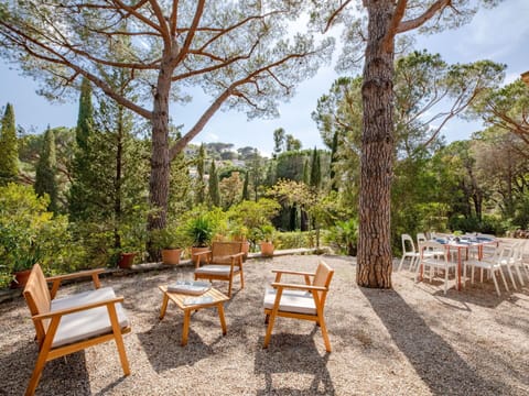 Table, Plant, Cloud, Sky, Building, Property, Tableware, Chair, Interior Design, Outdoor Furniture