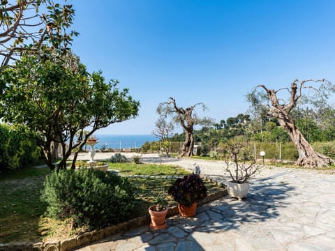 Leaf, Shrub, Spring, Garden, Shade, Woody Plant, Landscaping, Walkway, Tropics