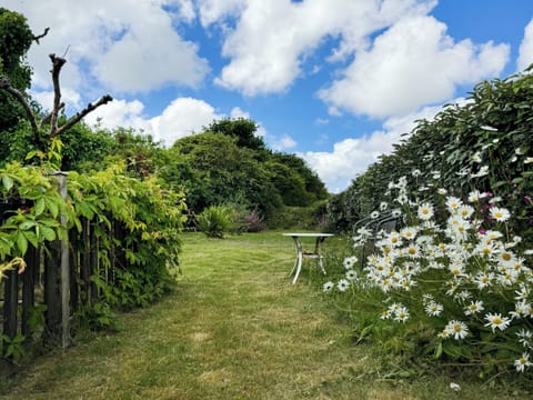 Garden | Pencaire, Helston & The Lizard