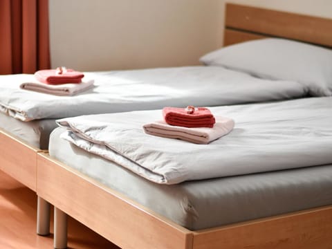 Window, Building, Snow, Tree, Wood, Facade, Sky, Real Estate, Roof