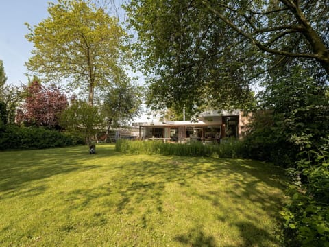 Plant, Plant Community, Building, Natural Landscape, Tree, Land Lot, Sunlight, Cottage, Shade, Shrub