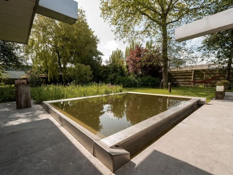 Water, Plant, Daytime, Property, Botany, Nature, Tree, Sky, Road Surface, Shade