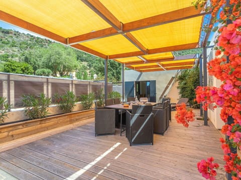 Plant, Property, Flower, Shade, Houseplant, Interior Design, Chair, Outdoor Furniture, Flowerpot, Public Space