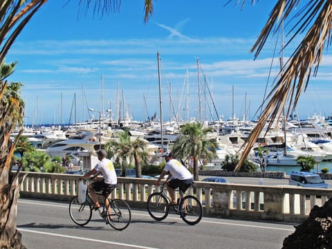 Bicycle, Sky, Wheel, Cloud, Boat, Plant, Vehicle, Watercraft
