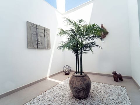 Plant, Property, Building, Flowerpot, Wood, Interior Design, Houseplant, Tree, Floor