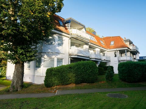 Plant, Sky, Building, Property, Window, Tree, House, Land Lot, Grass, Facade