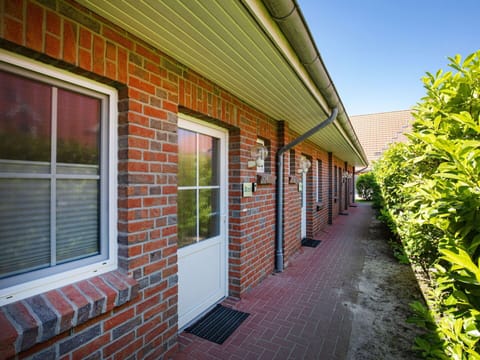 Window, Property, Plant, Building, Road Surface, Wood, Wall, Brickwork, Tree