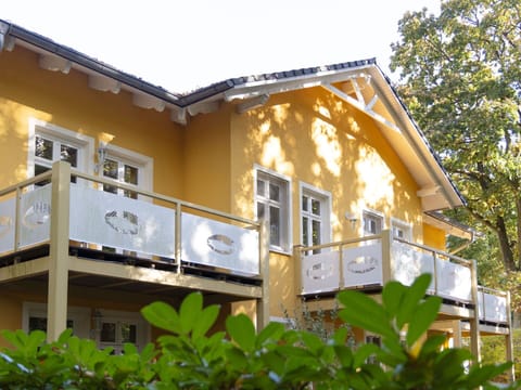 Property, Plant, Building, Sky, Window, Tree, Vegetation, Wood, Yellow, Neighbourhood