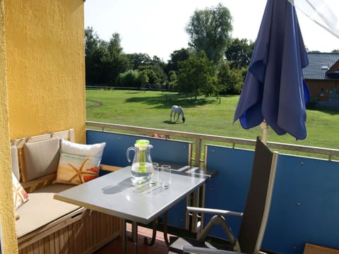 Table, Property, Furniture, Tableware, Window, Plant, Chair, Shade, Building, Yellow