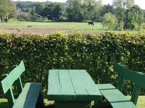 Plant, Table, Plant Community, Green, Natural Landscape, Tree, Flower, Land Lot, Vegetation, Outdoor Furniture