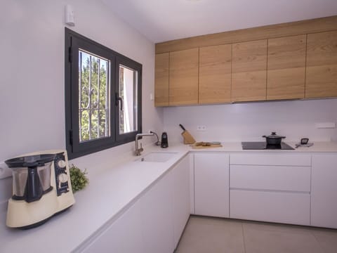 Flower, Plant, Furniture, Property, Window, Building, Green, Chair, Table, Sky