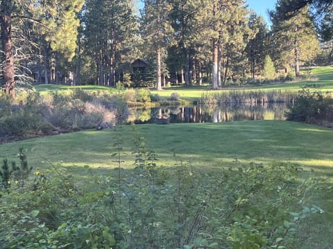 view of back yard / pond