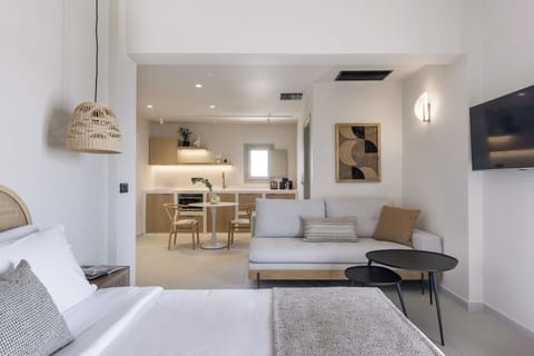 Bedroom, living room and TV