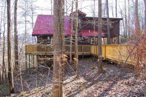 View from driveway
