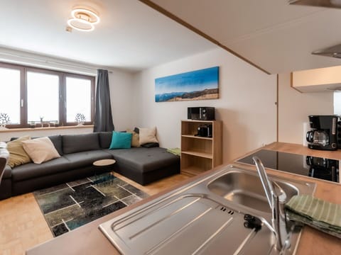 Property, Furniture, Sink, Couch, Kitchen Sink, Cabinetry, Lighting, Interior Design, Window, Wood